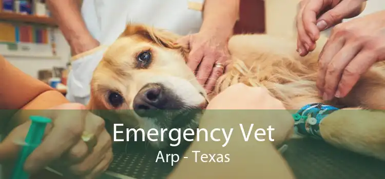 Emergency Vet Arp - Texas