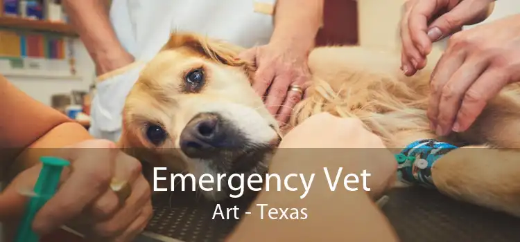 Emergency Vet Art - Texas