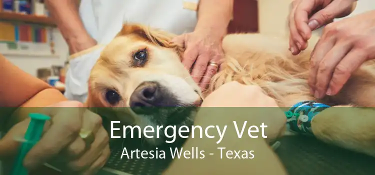 Emergency Vet Artesia Wells - Texas