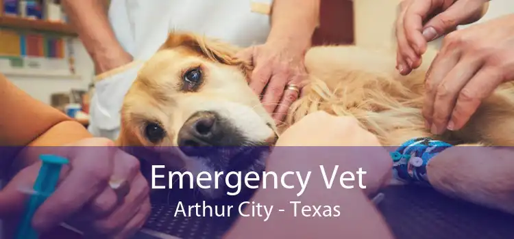 Emergency Vet Arthur City - Texas