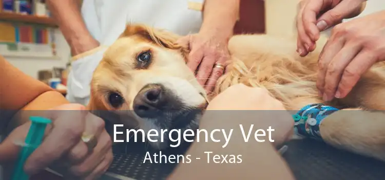 Emergency Vet Athens - Texas