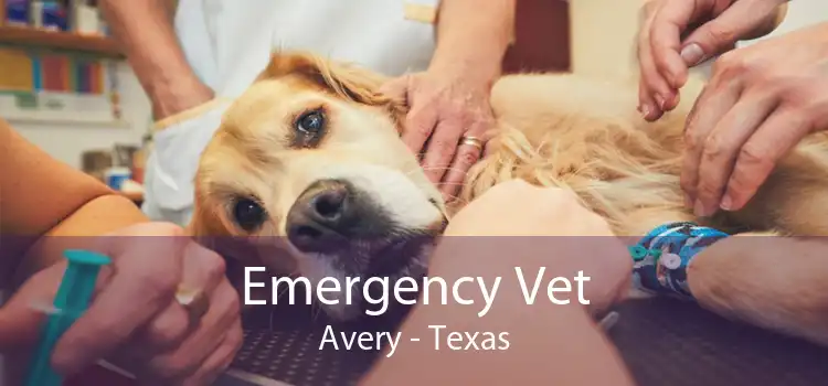 Emergency Vet Avery - Texas