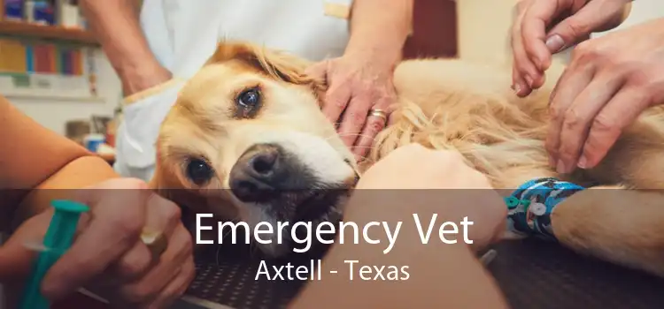 Emergency Vet Axtell - Texas