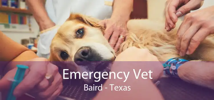 Emergency Vet Baird - Texas