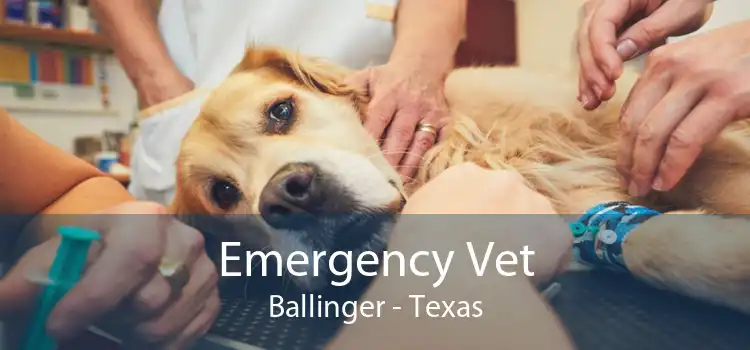 Emergency Vet Ballinger - Texas