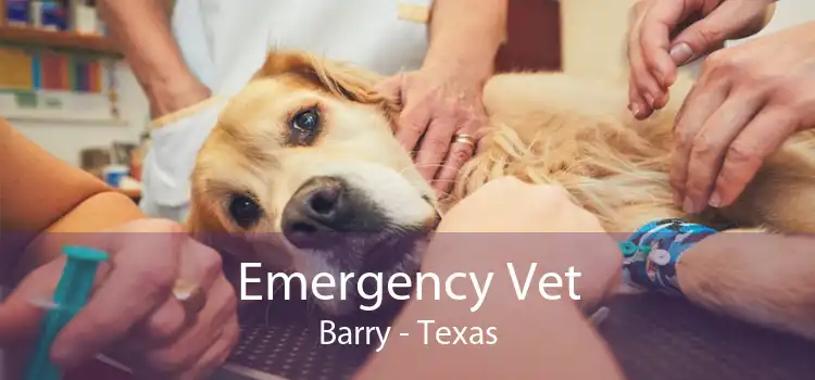 Emergency Vet Barry - Texas