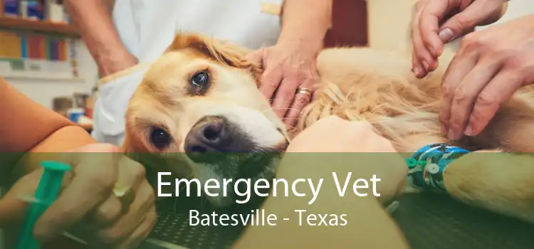 Emergency Vet Batesville - Texas