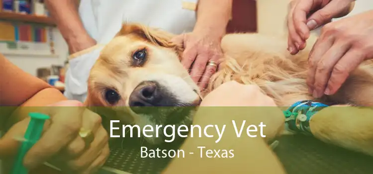 Emergency Vet Batson - Texas