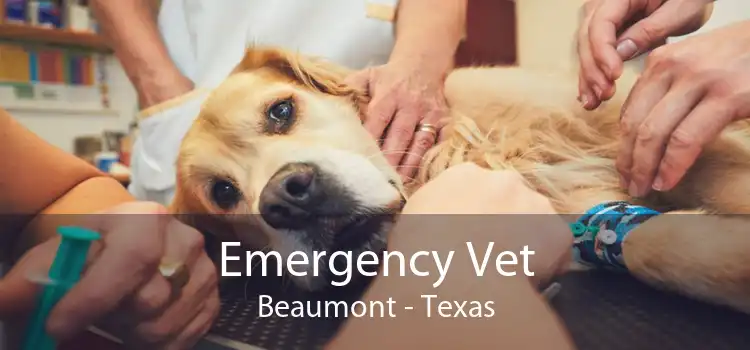 Emergency Vet Beaumont - Texas