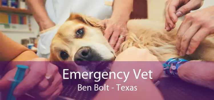 Emergency Vet Ben Bolt - Texas