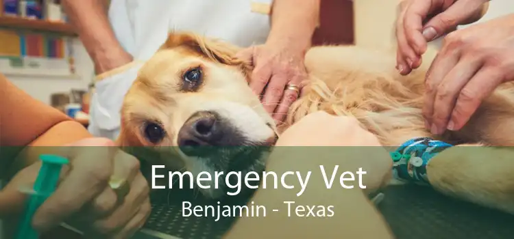 Emergency Vet Benjamin - Texas