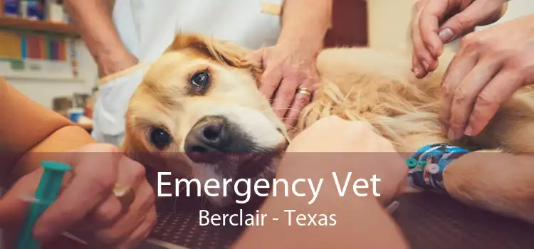 Emergency Vet Berclair - Texas