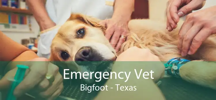 Emergency Vet Bigfoot - Texas