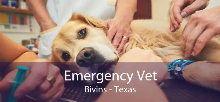 Emergency Vet Bivins - Texas