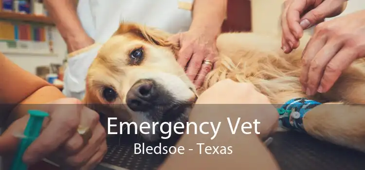 Emergency Vet Bledsoe - Texas