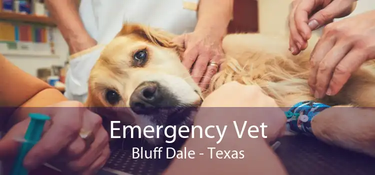 Emergency Vet Bluff Dale - Texas