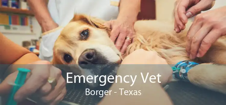 Emergency Vet Borger - Texas