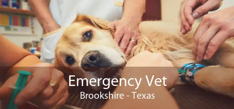 Emergency Vet Brookshire - Texas