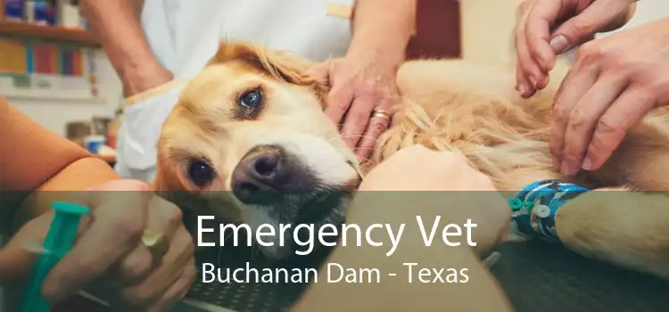 Emergency Vet Buchanan Dam - Texas