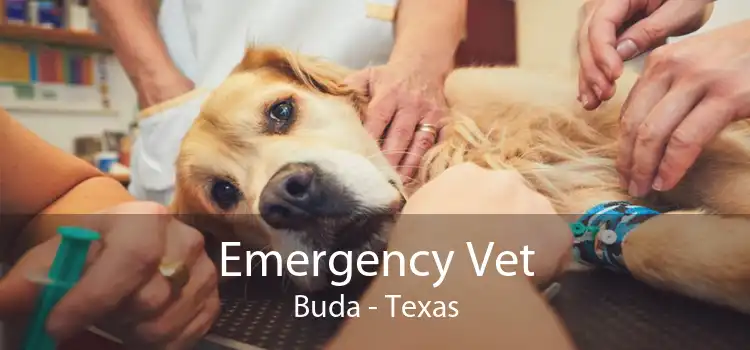 Emergency Vet Buda - Texas