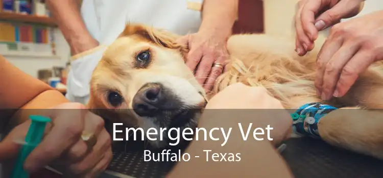 Emergency Vet Buffalo - Texas