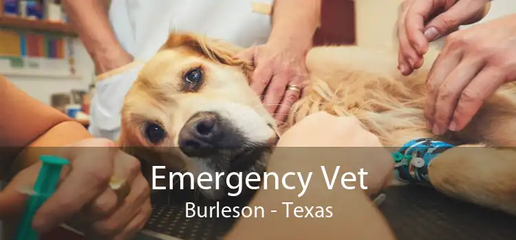 Emergency Vet Burleson - Texas