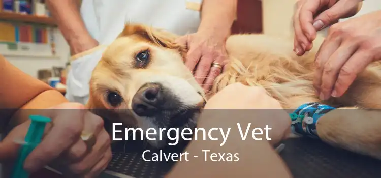 Emergency Vet Calvert - Texas