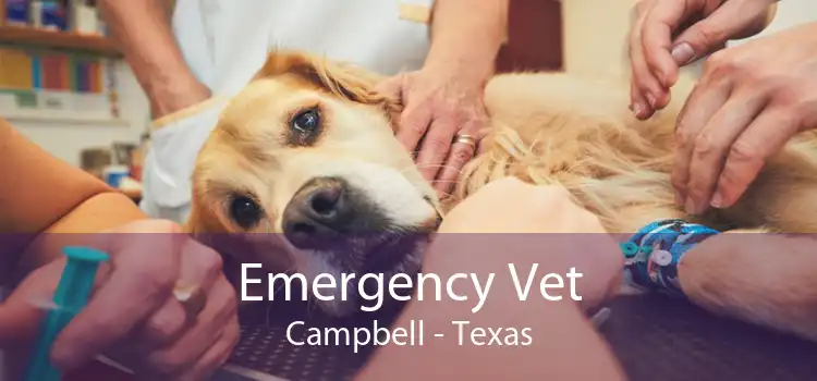 Emergency Vet Campbell - Texas