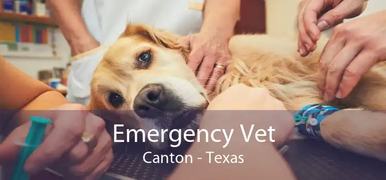 Emergency Vet Canton - Texas