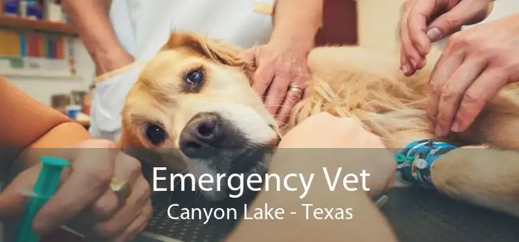 Emergency Vet Canyon Lake - Texas