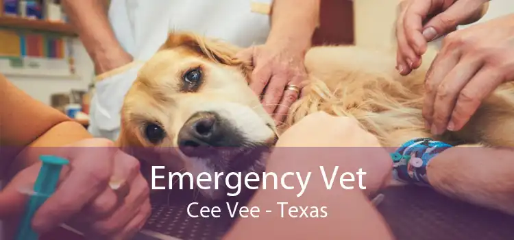 Emergency Vet Cee Vee - Texas