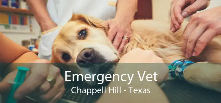 Emergency Vet Chappell Hill - Texas