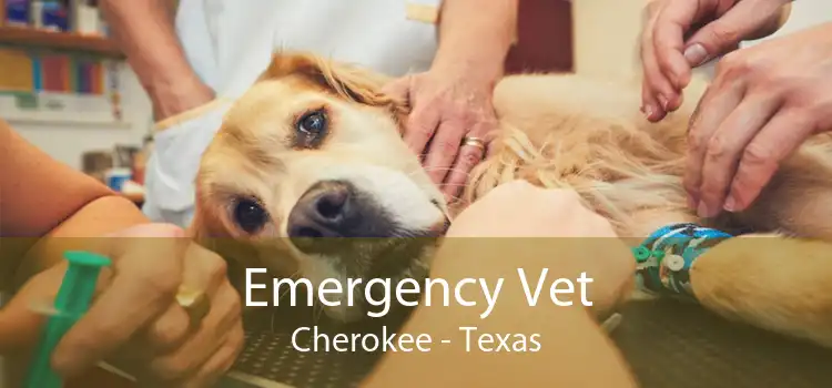 Emergency Vet Cherokee - Texas