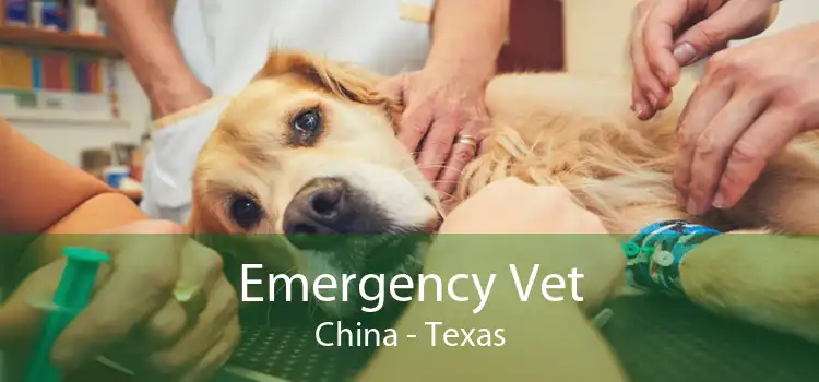 Emergency Vet China - Texas