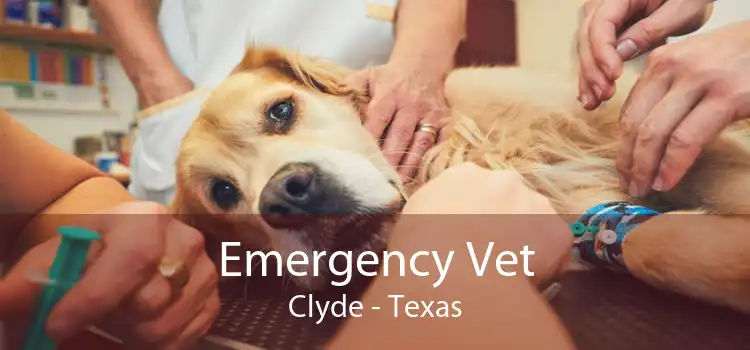 Emergency Vet Clyde - Texas