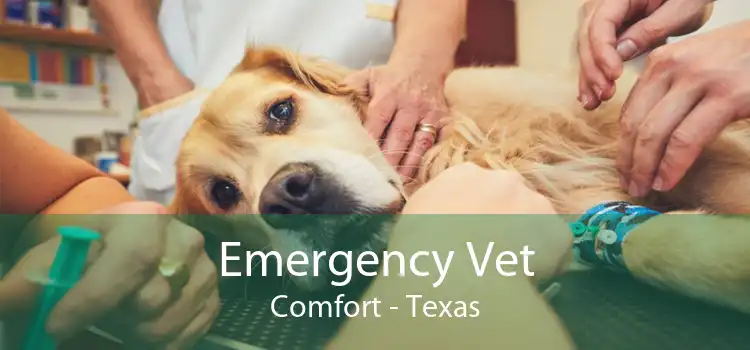 Emergency Vet Comfort - Texas