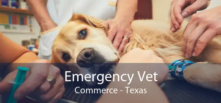 Emergency Vet Commerce - Texas