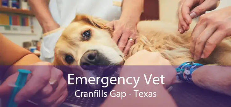 Emergency Vet Cranfills Gap - Texas