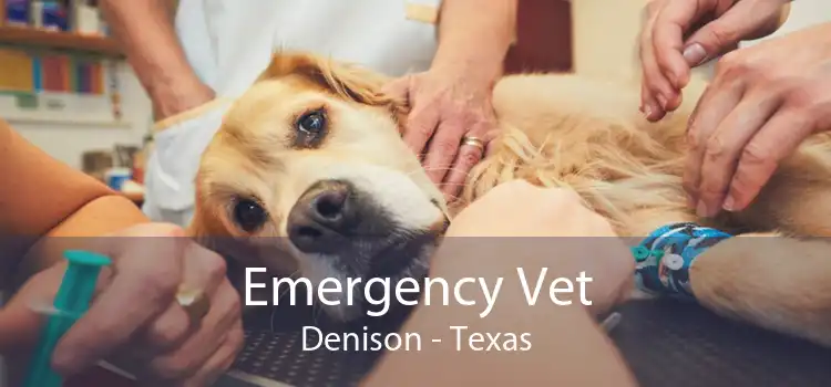 Emergency Vet Denison - Texas