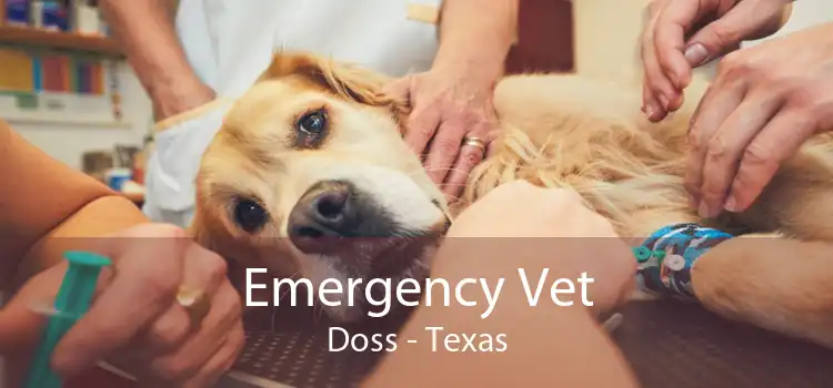 Emergency Vet Doss - Texas