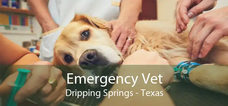 Emergency Vet Dripping Springs - Texas