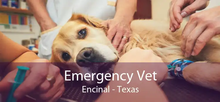 Emergency Vet Encinal - Texas