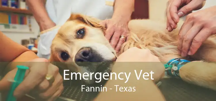 Emergency Vet Fannin - Texas