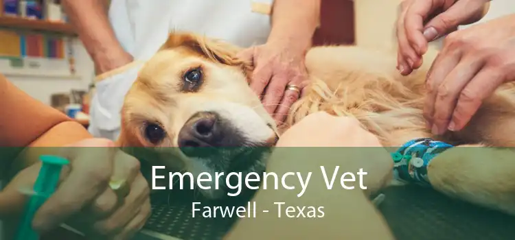 Emergency Vet Farwell - Texas