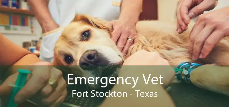 Emergency Vet Fort Stockton - Texas