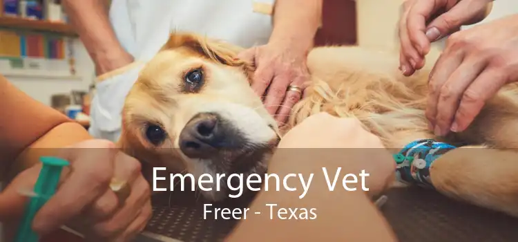 Emergency Vet Freer - Texas