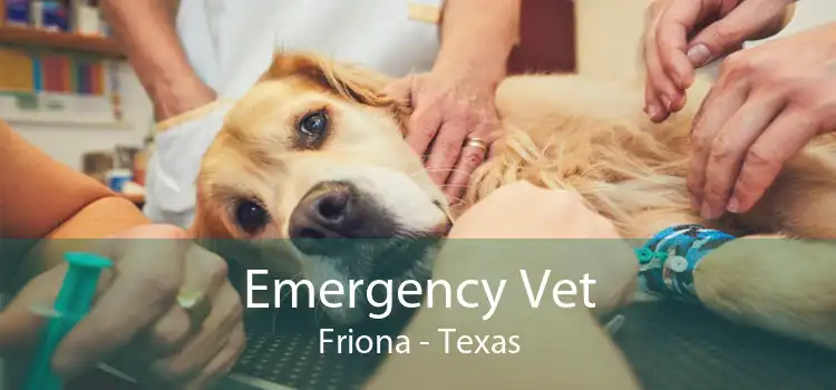 Emergency Vet Friona - Texas