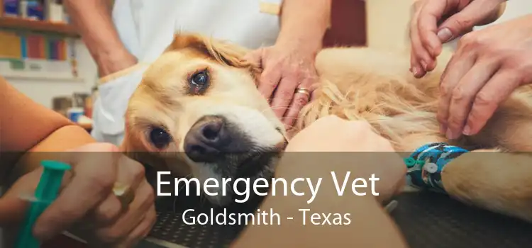 Emergency Vet Goldsmith - Texas