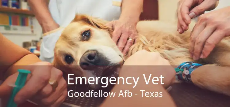 Emergency Vet Goodfellow Afb - Texas