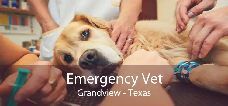 Emergency Vet Grandview - Texas